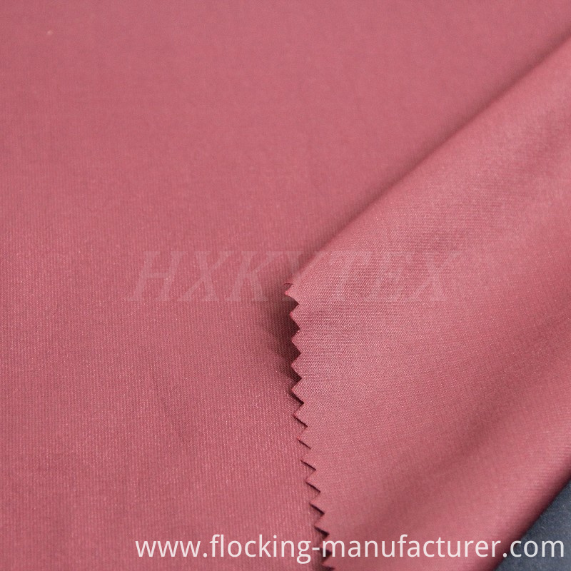 Bright Nylon with Polyester Blend Fabric for Jacket or Trench